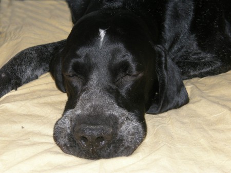 Hera just arrived to Finland