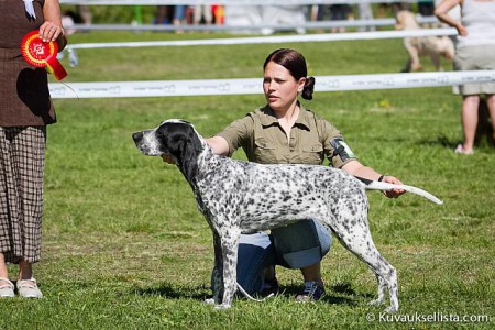 Elvi ROP Erikoisnäyttelyssä 2012