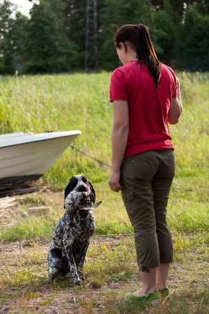 Elvi at water trial 5/5 points